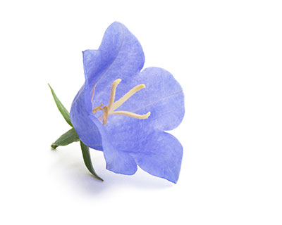 Naturen på din grund